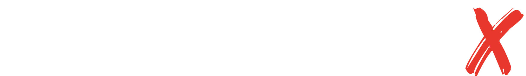 FORMULA 500X