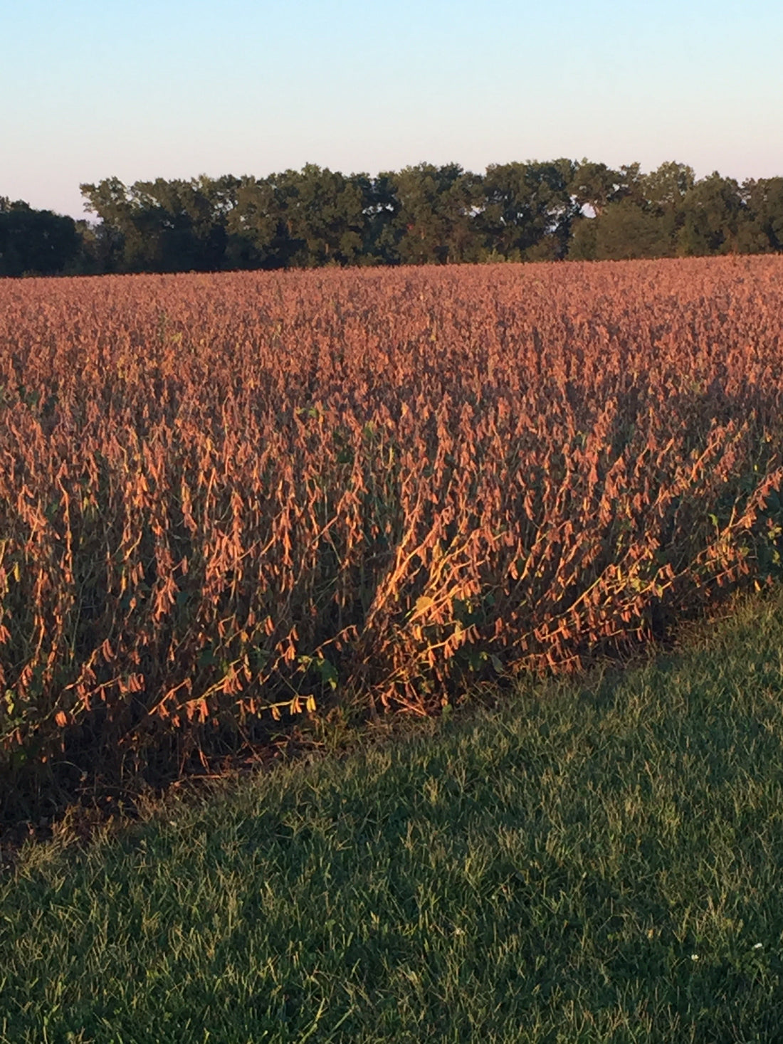 October 2025 - Newsletter