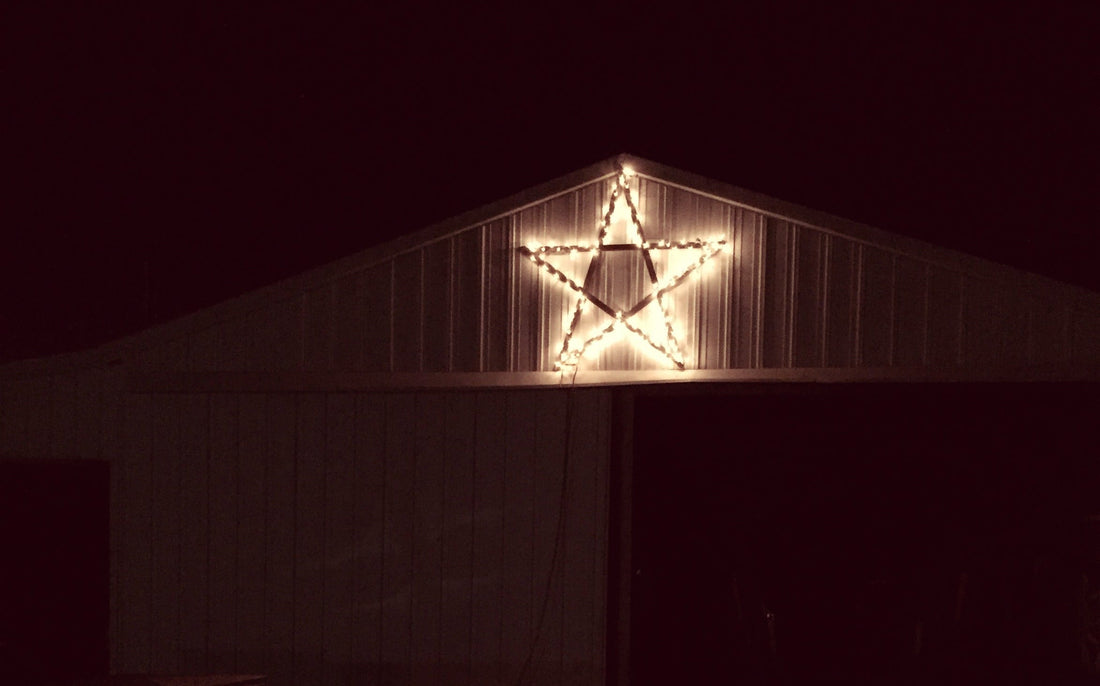 December 2025 - Newsletter