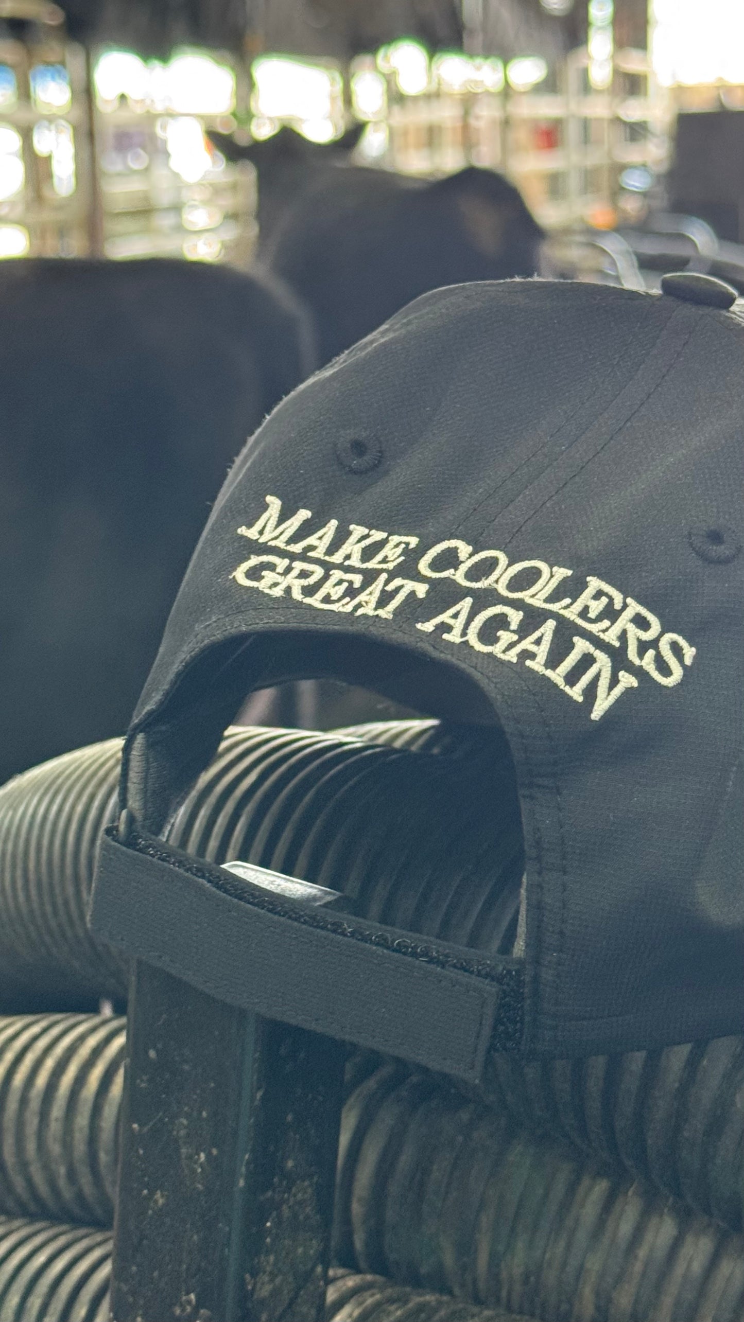 Black 220 Formula 500X - Make Coolers Great Again